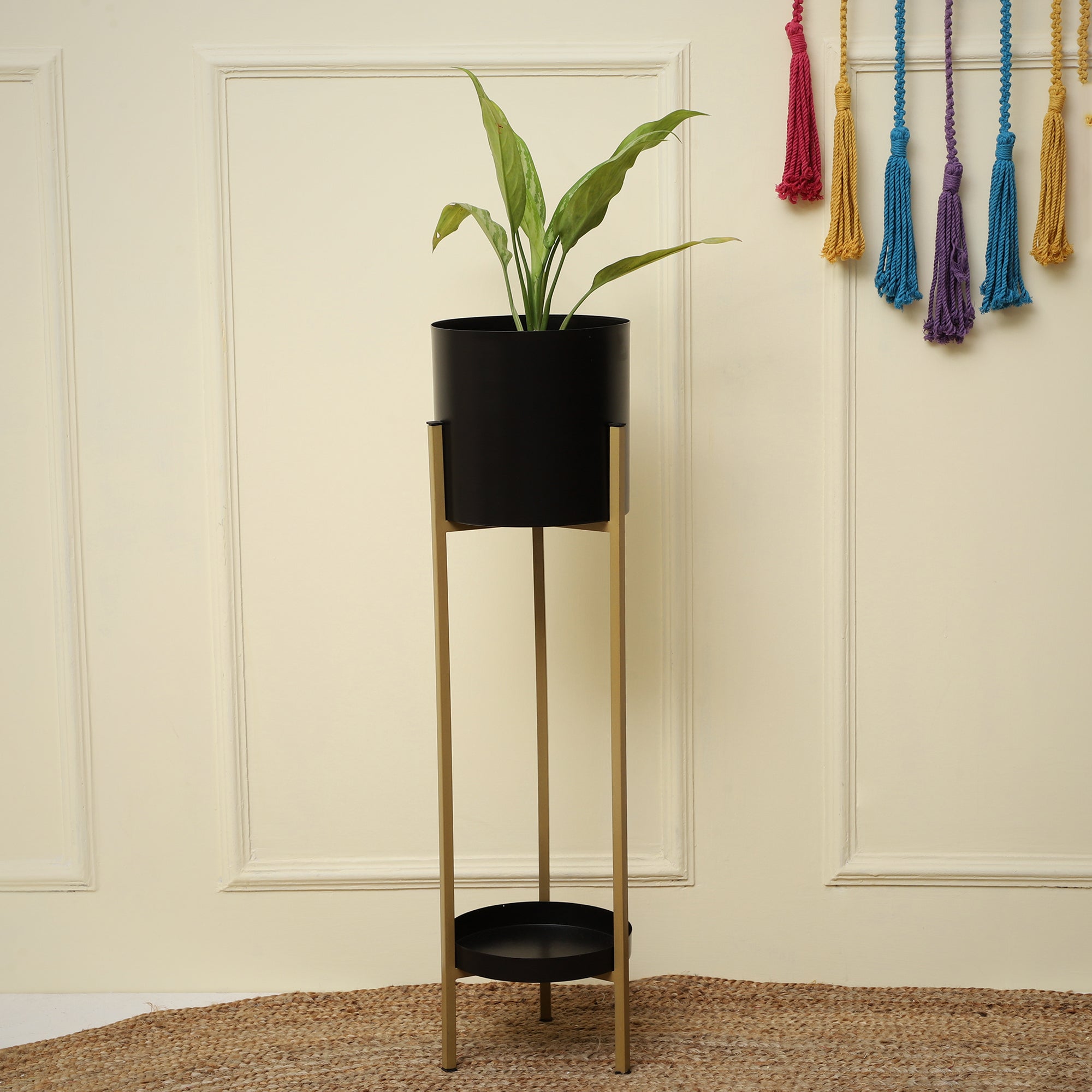 Orion Black Planter